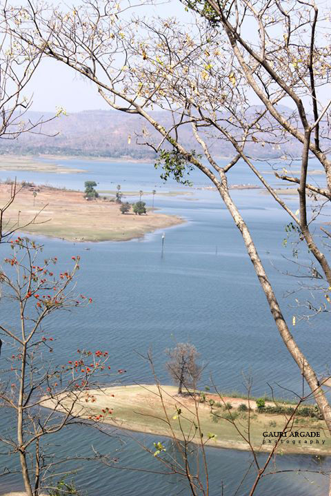 Photo of The union territory - Dadra & Nagar Haveli & Daman 1/7 by Gauri Argade