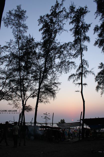 Photo of The union territory - Dadra & Nagar Haveli & Daman 2/7 by Gauri Argade