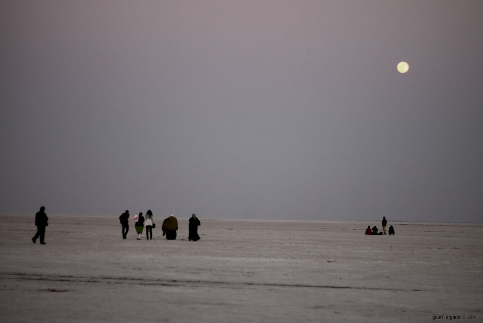 Photo of Rann Of Kutch 7/13 by Gauri Argade