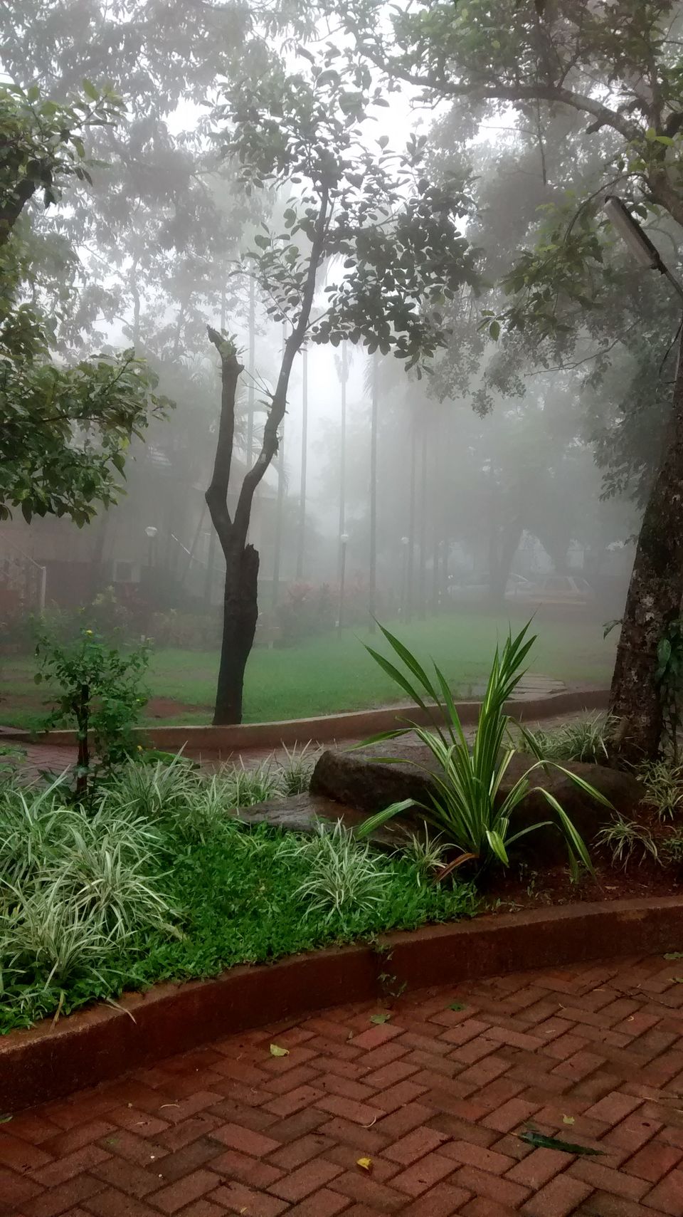 Photo of Khandala in Monsoons 1/8 by Gauri Argade