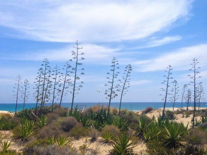 Photo of Go Wild In Southern Spain : Ten Of My Favourite Wild Spaces In Andalucia 8/10 by Andrew Forbes