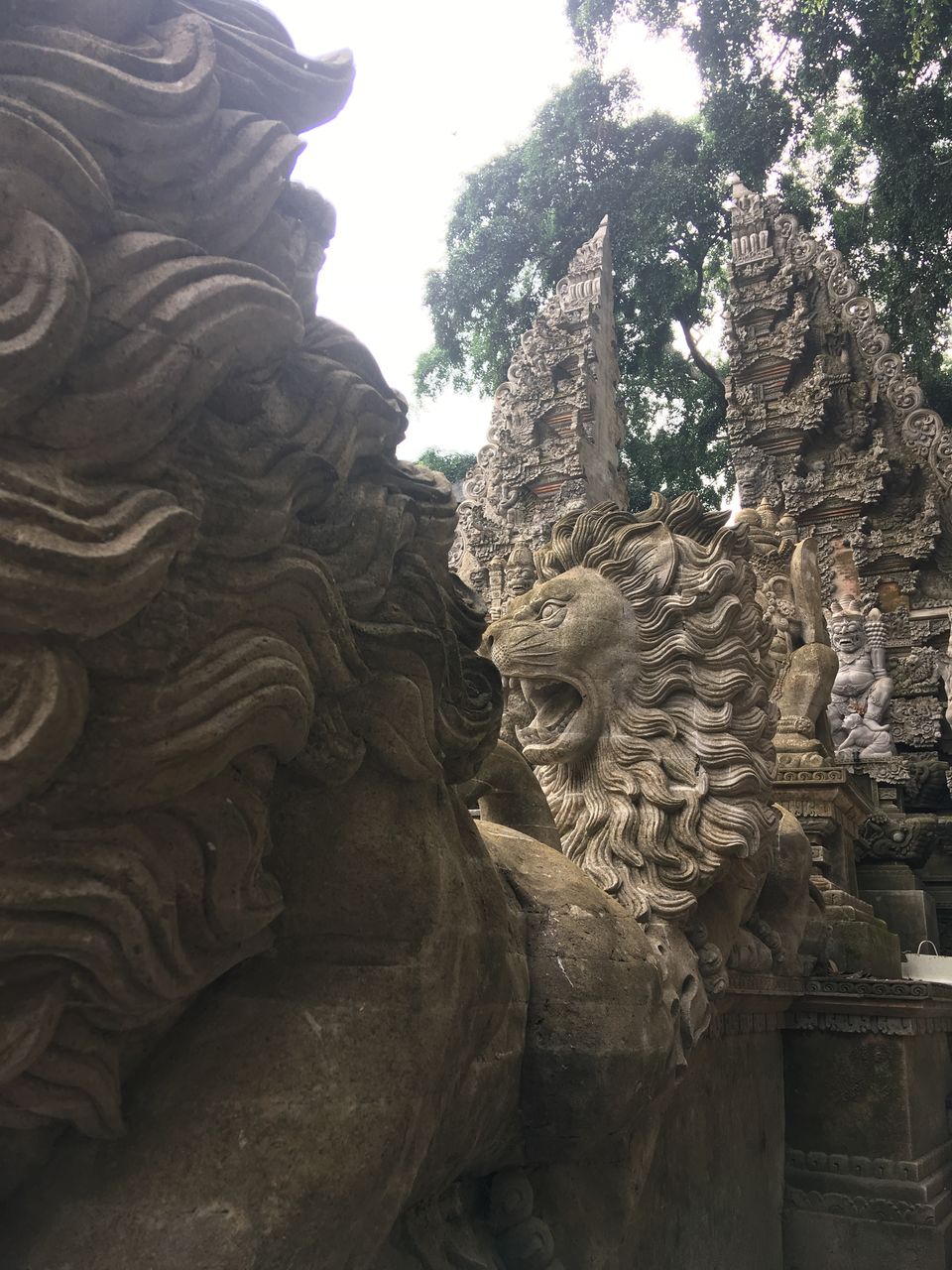 Photo of A Whimsical Time In Ubud, Bali by Rushitha