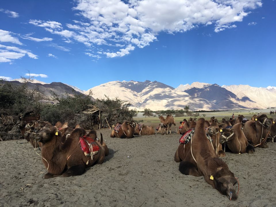 Photo of Leh-Ladakh, a land like no other! 5/10 by Rushitha