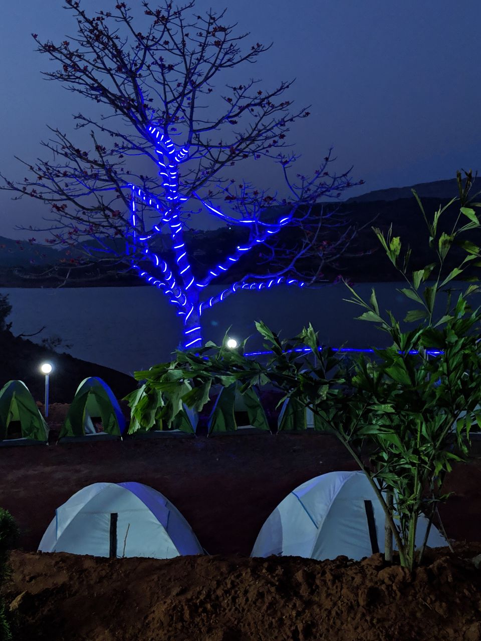 Photo of Camping-Just a new activity for all the office crawlers by Rakhee Rathore