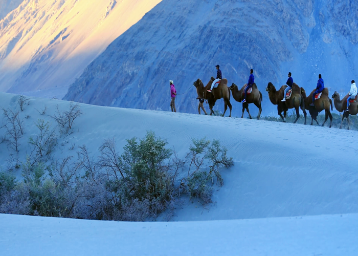 Photo of Top Things to do when you are Travelling to Ladakh 1/4 by Kuku Gupta