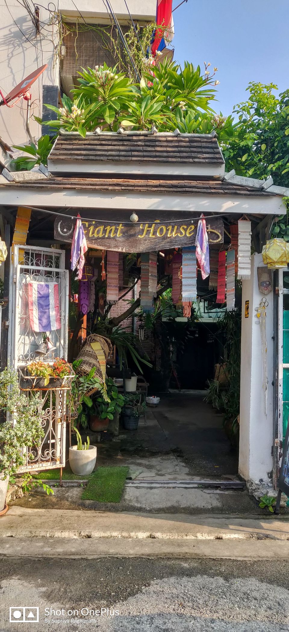 Photo of Giant House, Moon Muang Road Lane 6, Si Phum Sub-district, Mueang Chiang Mai District, Chiang Mai, Thailand by Supriya PR