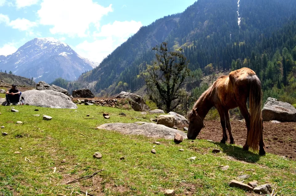 Photo of Har Ki Dun, Sankari Range, Uttarakhand, India by Alok Nanda