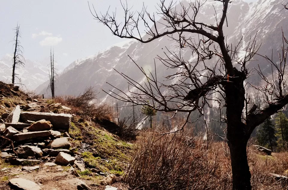 Photo of Har Ki Dun, Sankari Range, Uttarakhand, India by Alok Nanda