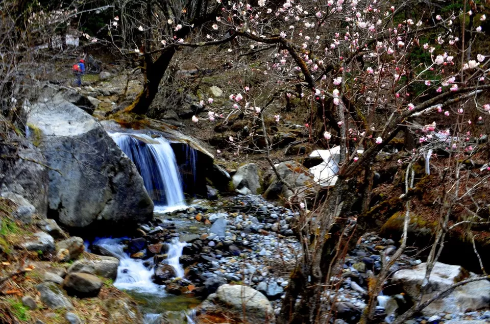 Photo of Har Ki Dun, Sankari Range, Uttarakhand, India by Alok Nanda