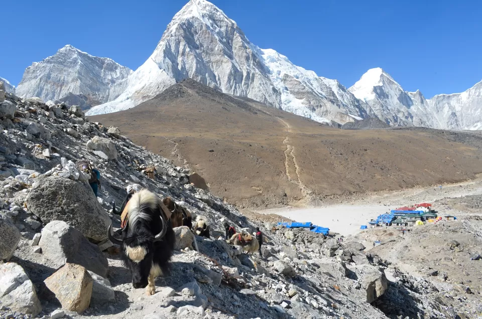 Photo of Gorakshep, Khumjung, Eastern Region, Nepal by Alok Nanda