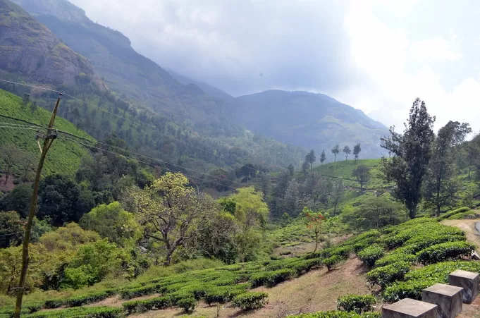 Photo of A Trip To God's Own Country - MUNNAR [Part-I] by Alok Nanda