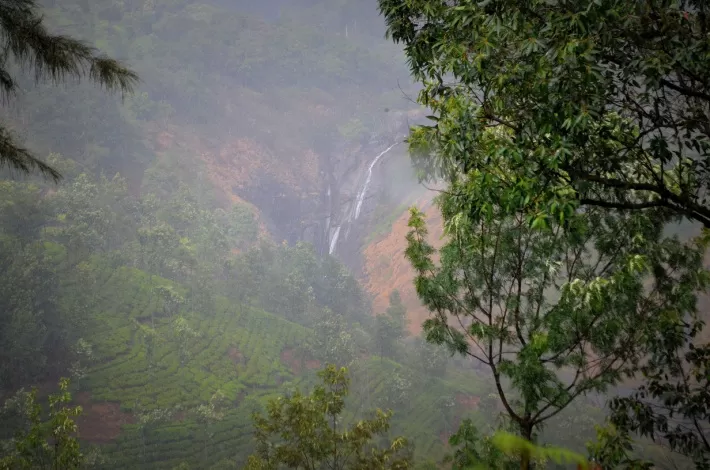 Photo of A Trip To God's Own Country - MUNNAR [Part-I] by Alok Nanda