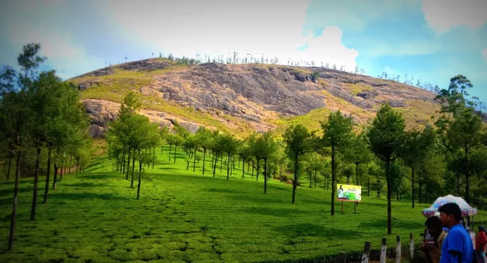 Photo of Photo Point, Munnar, Munnar - Top Station Highway, Ikka Nagar, Munnar, Kerala, India by Alok Nanda