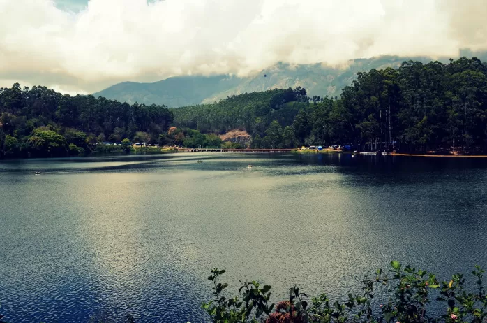 Photo of A Trip To God's Own Country - MUNNAR Contd... [Part-II] by Alok Nanda