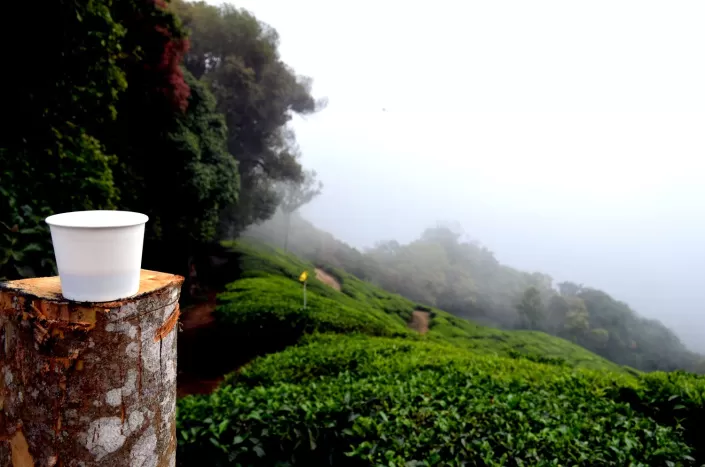 Photo of Top Station, Munnar, Kerala, India by Alok Nanda