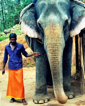 Photo of A Trip To God's Own Country - MUNNAR Contd... [Part-II] by Alok Nanda