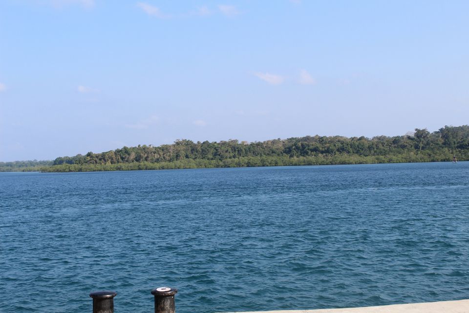 Photo of Havelock Island, Andaman and Nicobar Islands by AMIT KUMAR SURDEO