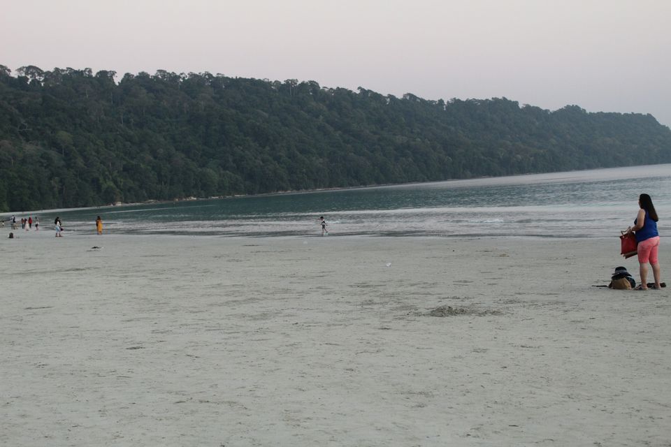 Photo of Havelock Island, Andaman and Nicobar Islands by AMIT KUMAR SURDEO