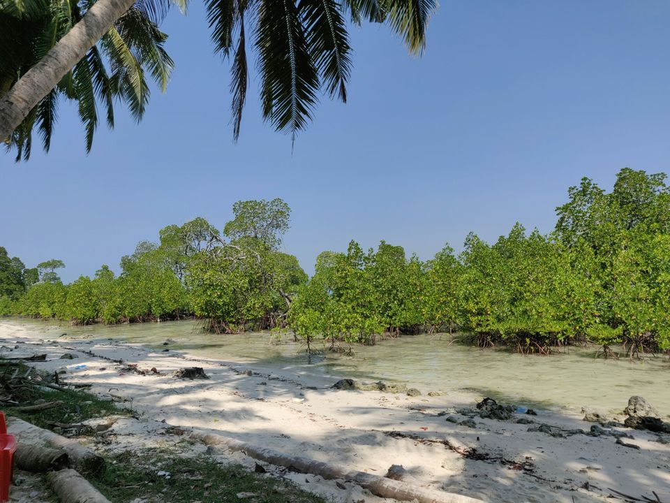 Photo of Havelock Island, Andaman and Nicobar Islands by AMIT KUMAR SURDEO