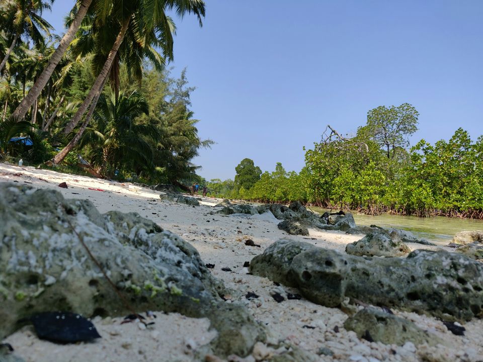 Photo of Havelock Island, Andaman and Nicobar Islands by AMIT KUMAR SURDEO