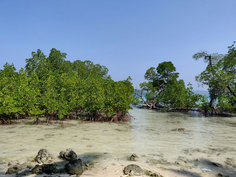 Photo of Havelock Island, Andaman and Nicobar Islands by AMIT KUMAR SURDEO