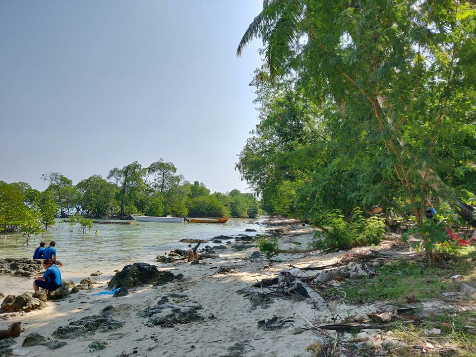 Photo of Havelock Island, Andaman and Nicobar Islands by AMIT KUMAR SURDEO