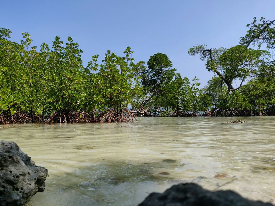 Photo of Havelock Island, Andaman and Nicobar Islands by AMIT KUMAR SURDEO