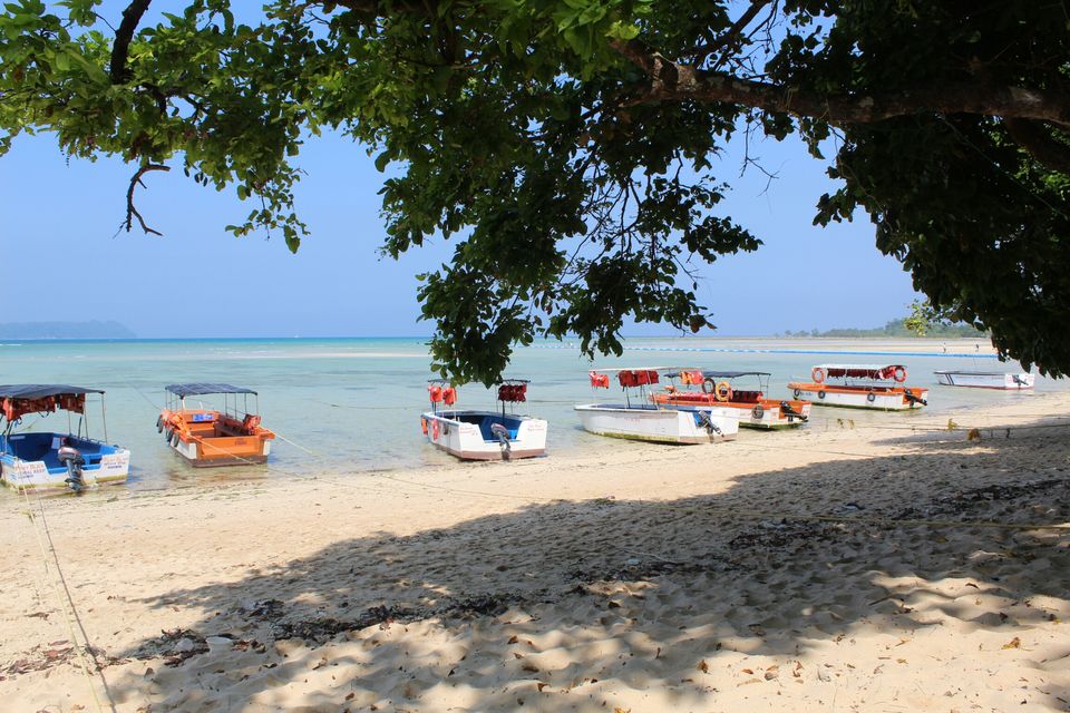 Photo of Neil Island, Andaman and Nicobar Islands by AMIT KUMAR SURDEO