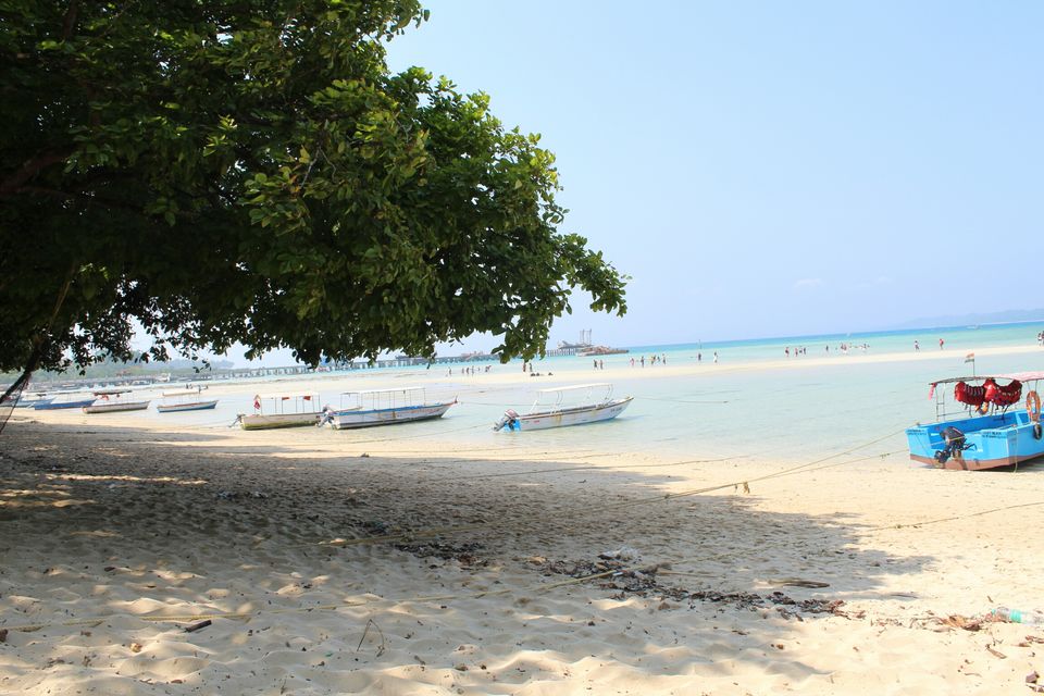 Photo of Neil Island, Andaman and Nicobar Islands by AMIT KUMAR SURDEO