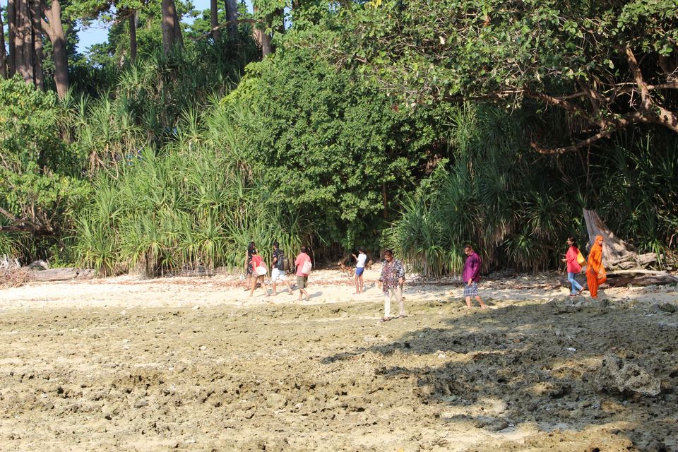 Photo of Neil Island, Andaman and Nicobar Islands by AMIT KUMAR SURDEO