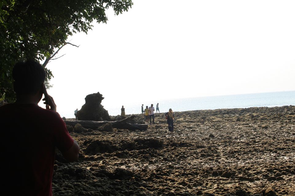 Photo of Neil Island, Andaman and Nicobar Islands by AMIT KUMAR SURDEO