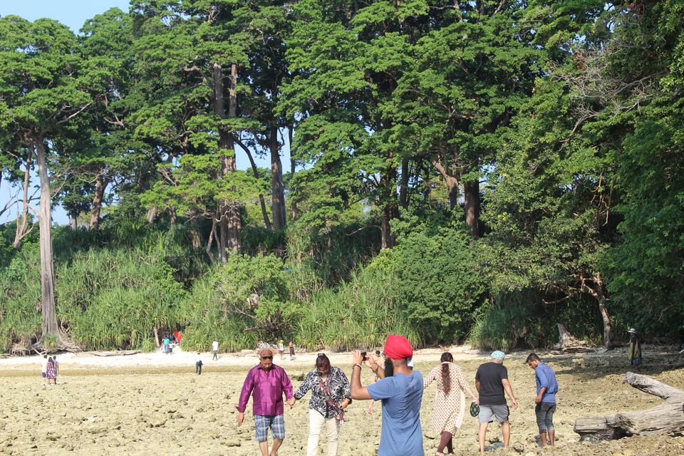 Photo of Neil Island, Andaman and Nicobar Islands by AMIT KUMAR SURDEO