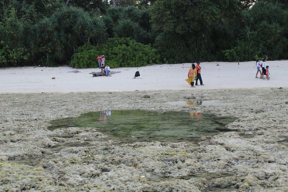 Photo of Neil Island, Andaman and Nicobar Islands by AMIT KUMAR SURDEO