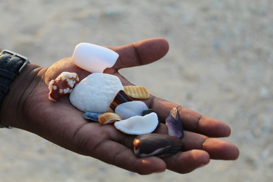 Photo of Neil Island, Andaman and Nicobar Islands by AMIT KUMAR SURDEO