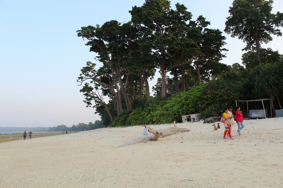 Photo of Neil Island, Andaman and Nicobar Islands by AMIT KUMAR SURDEO