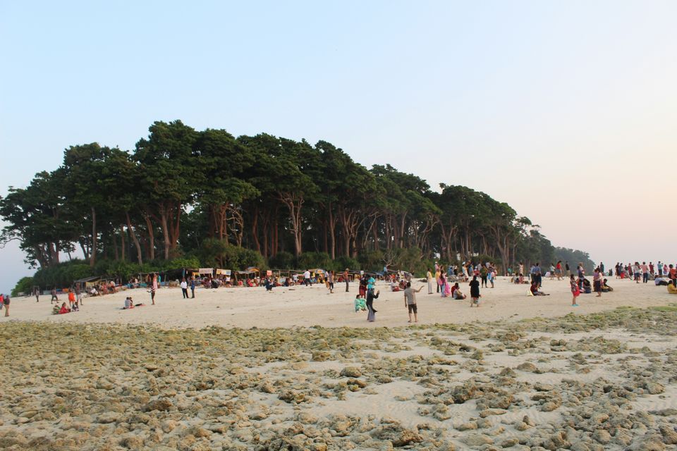 Photo of Neil Island, Andaman and Nicobar Islands by AMIT KUMAR SURDEO