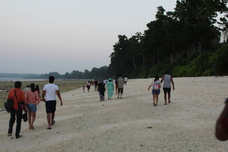 Photo of Neil Island, Andaman and Nicobar Islands by AMIT KUMAR SURDEO