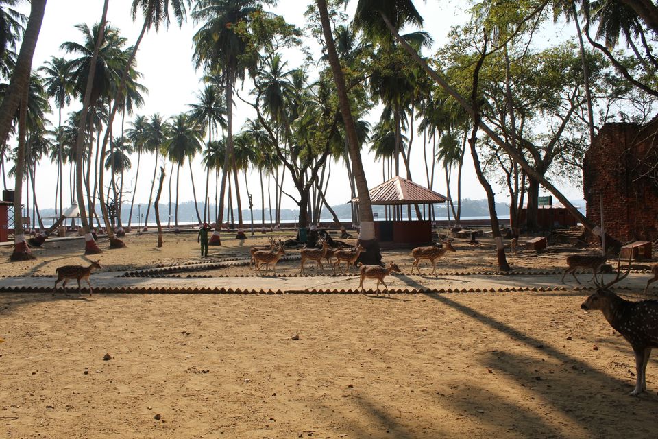 Photo of Ross Island by AMIT KUMAR SURDEO