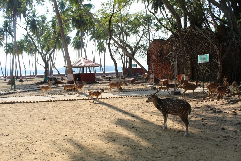 Photo of Ross Island by AMIT KUMAR SURDEO