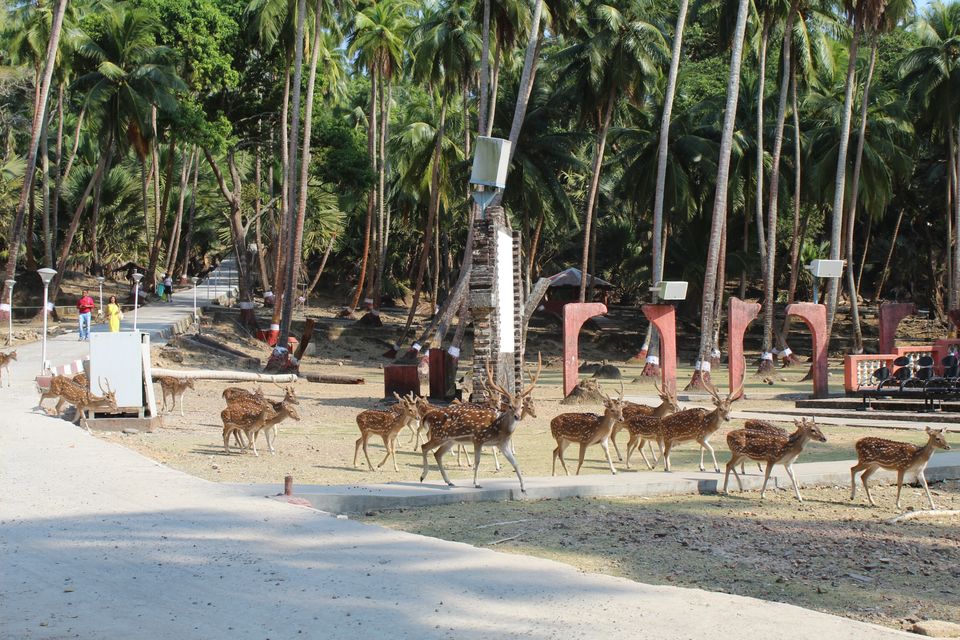 Photo of Ross Island by AMIT KUMAR SURDEO