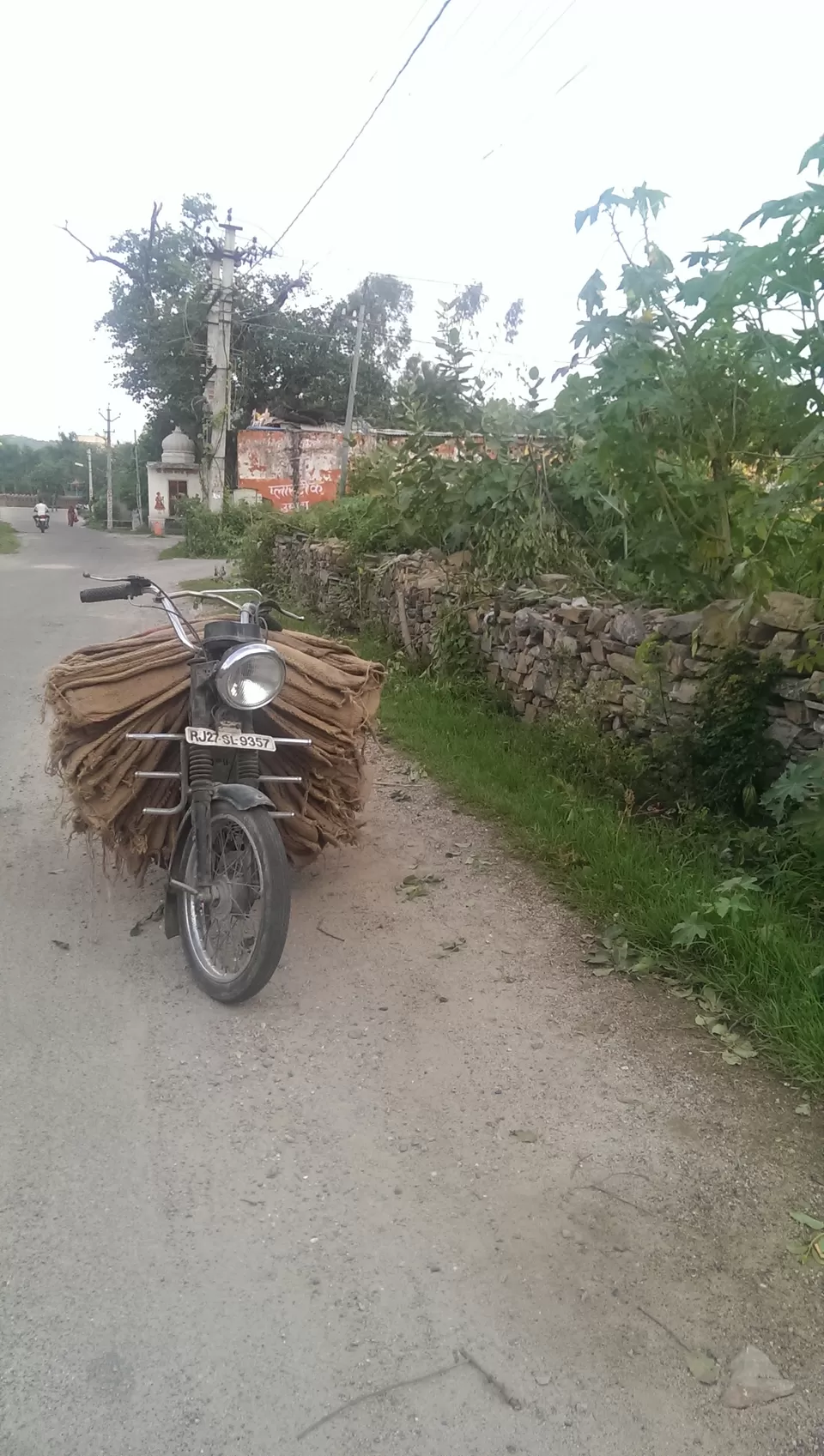 Photo of Udaipur, Rajasthan, India by Manas Daxini
