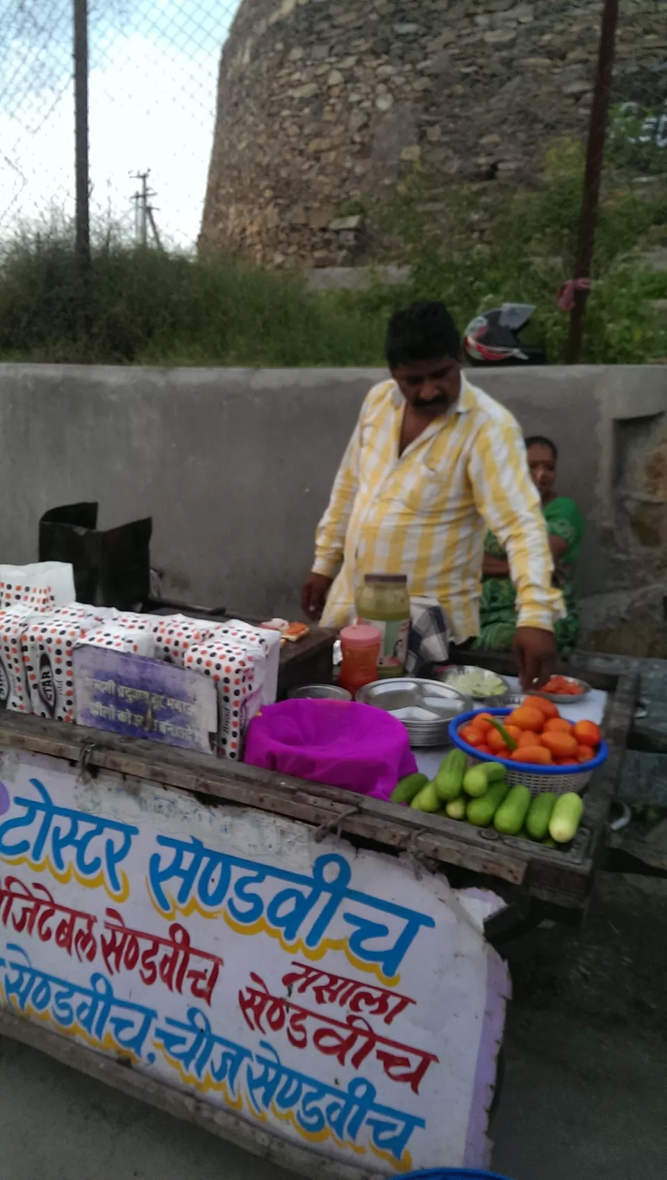 Photo of Udaipur, Rajasthan, India by Manas Daxini