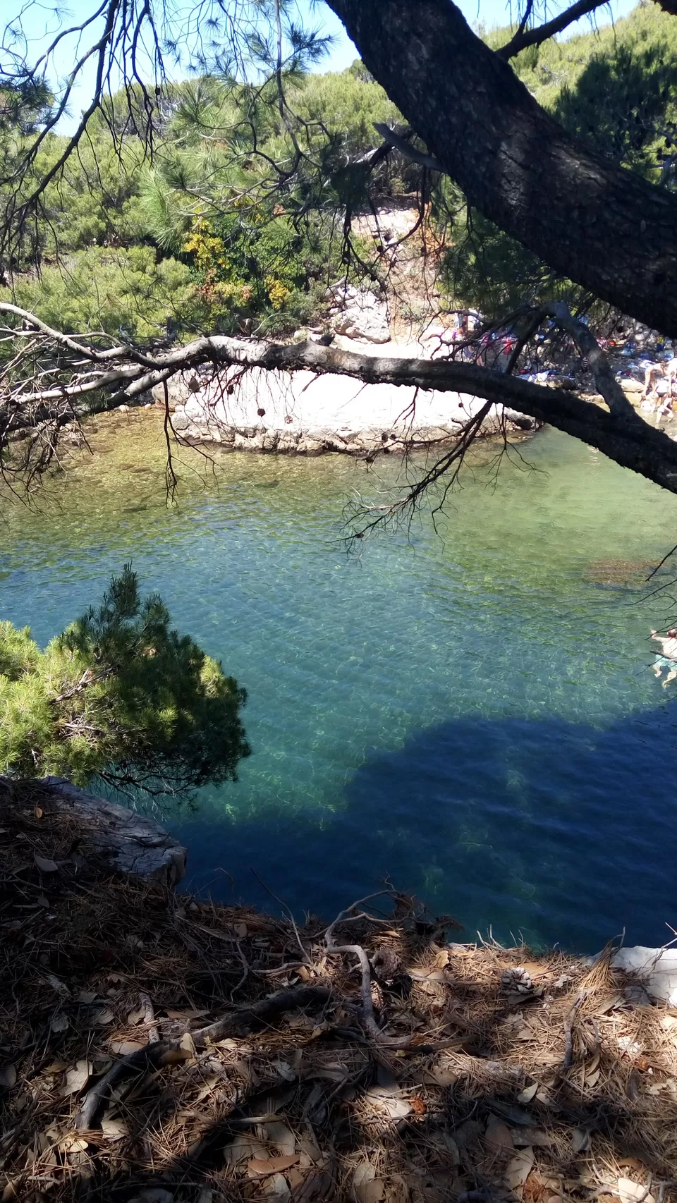Photo of Dead Sea, Lokrum, Dubrovnik, Croatia by Priti Turakhia