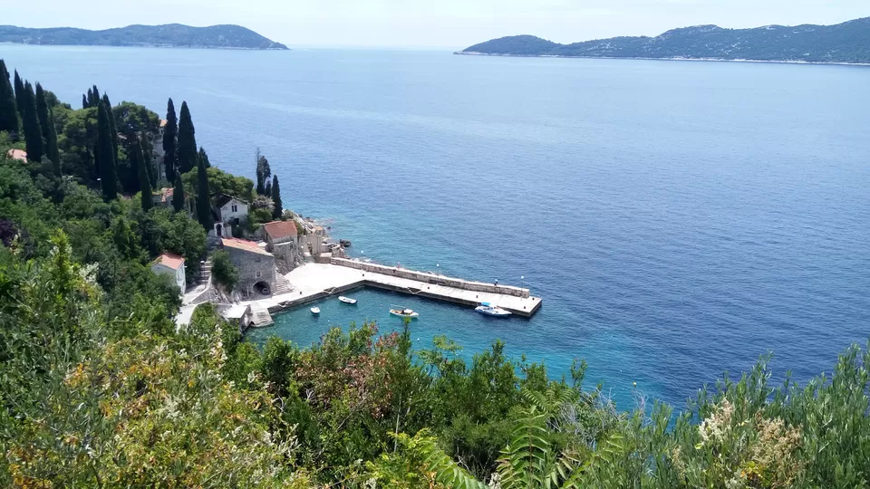 Photo of Arboretum Trsteno, HAZU, Trsteno, Croatia by Priti Turakhia