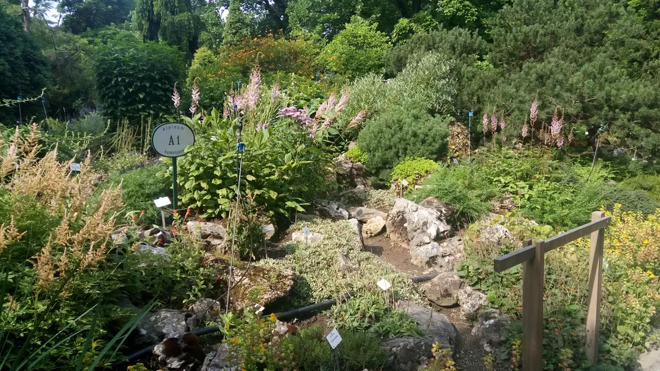 Photo of Botanical Garden, Trg Marka Marulića, Zagreb, Croatia by Priti Turakhia