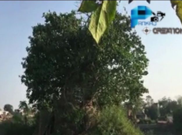 Photo of रांची से 17 किलोमीटर दूर, एक शापित किले की कहानी by Pawan Singh Rahore