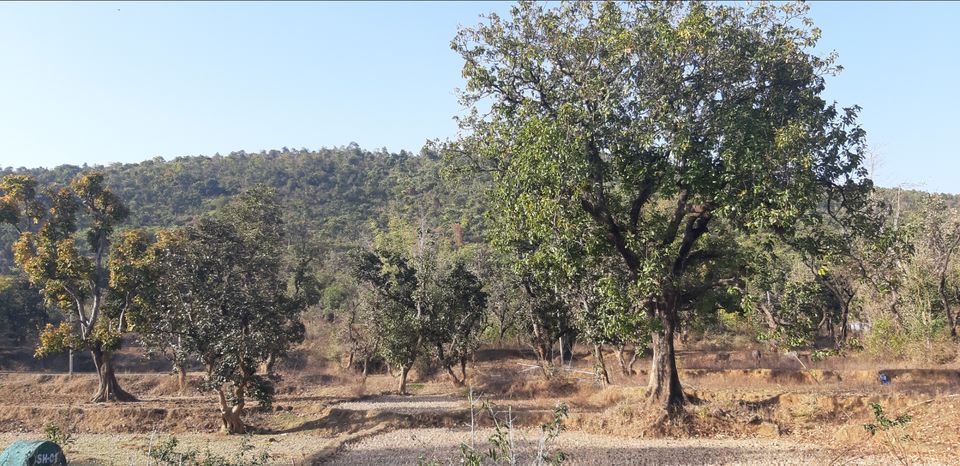 Photo of Ranchi, Jharkhand, India by Pawan Singh Rahore