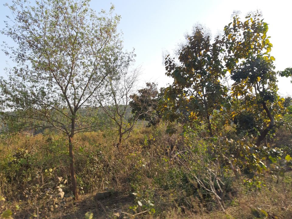 Photo of Ranchi, Jharkhand, India by Pawan Singh Rahore