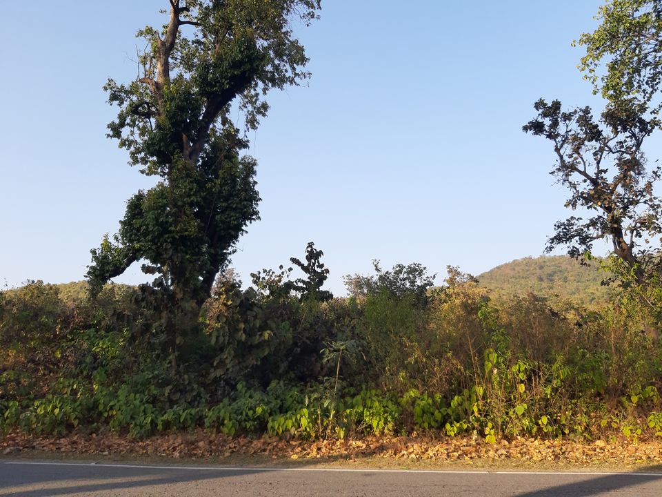 Photo of Ranchi, Jharkhand, India by Pawan Singh Rahore
