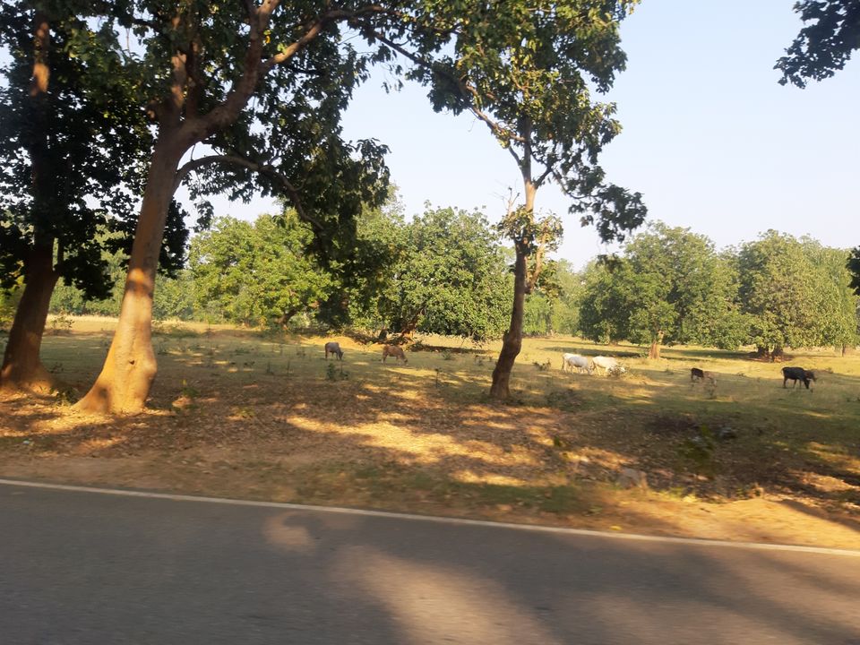 Photo of Palkot, Gumla, Jharkhand, India by Pawan Singh Rahore
